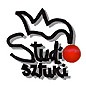 Policealne Studium Zawodowe Plastyczne STUDIO SZTUKI Policealne Studium Zawodowe Plastyczne STUDIO SZTUKI